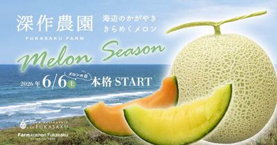 深作農園のメロンシーズン　6/6(土)メロンの日から本格スタート
