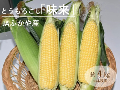 甘み際立つ埼玉県産とうもろこし「味来(みらい)」産地直送通販サイト「ＪＡタウン」で予約販売中！