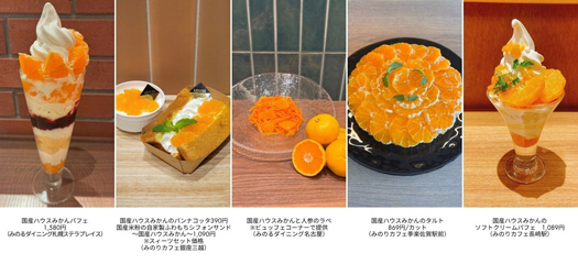 初夏に旬を迎える濃厚な甘さと爽やかな酸味全農直営飲食店舗で「国産ハウスみかんフェア」を６月１５日（月）～６月２８日（日）まで開催