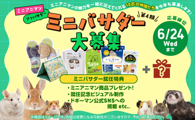 ドギーマンハヤシの小動物ブランド「ミニアニマン」第4期アンバサダー“ミニバサダー”を大募集！