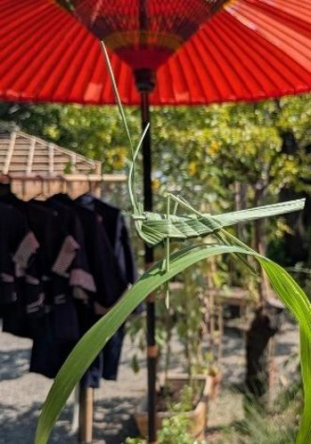 【向島百花園】「虫ききの会（8/27～30）・萩まつり（9/19～10/12）・月見の会（9/24～26）」開催！
