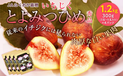 【福岡県嘉麻市ふるさと納税】JAふくおか嘉穂のいちじく「とよみつひめ 秀品 計1.2kg」を受付中です！