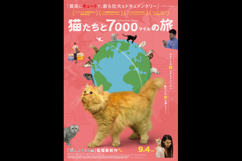 433504_sld 猫たちと7000マイルの旅