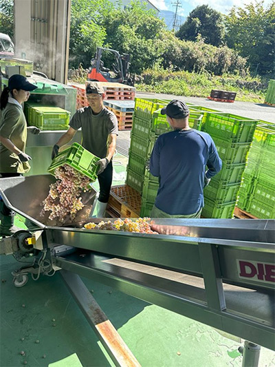 勝沼醸造、直営売店スタッフ厳選の“6つの樽”をボトリング　樽ごとの個性を飲み比べる甲州ワイン6本セット、約300セット限定で予約受付開始